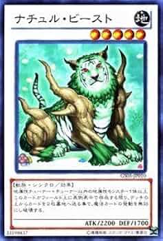 41oqN+zqd5L._AC_UF350,